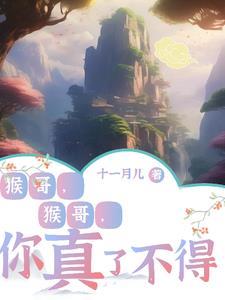 红楼梦白话文精简版