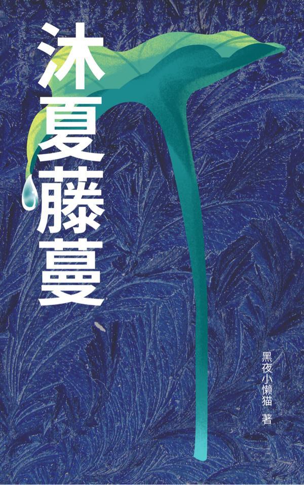 辅国将军