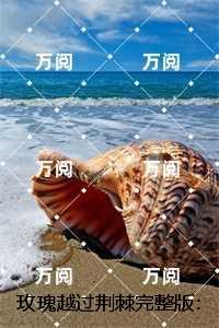 海贼王之最强合