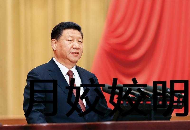 我的导演时代